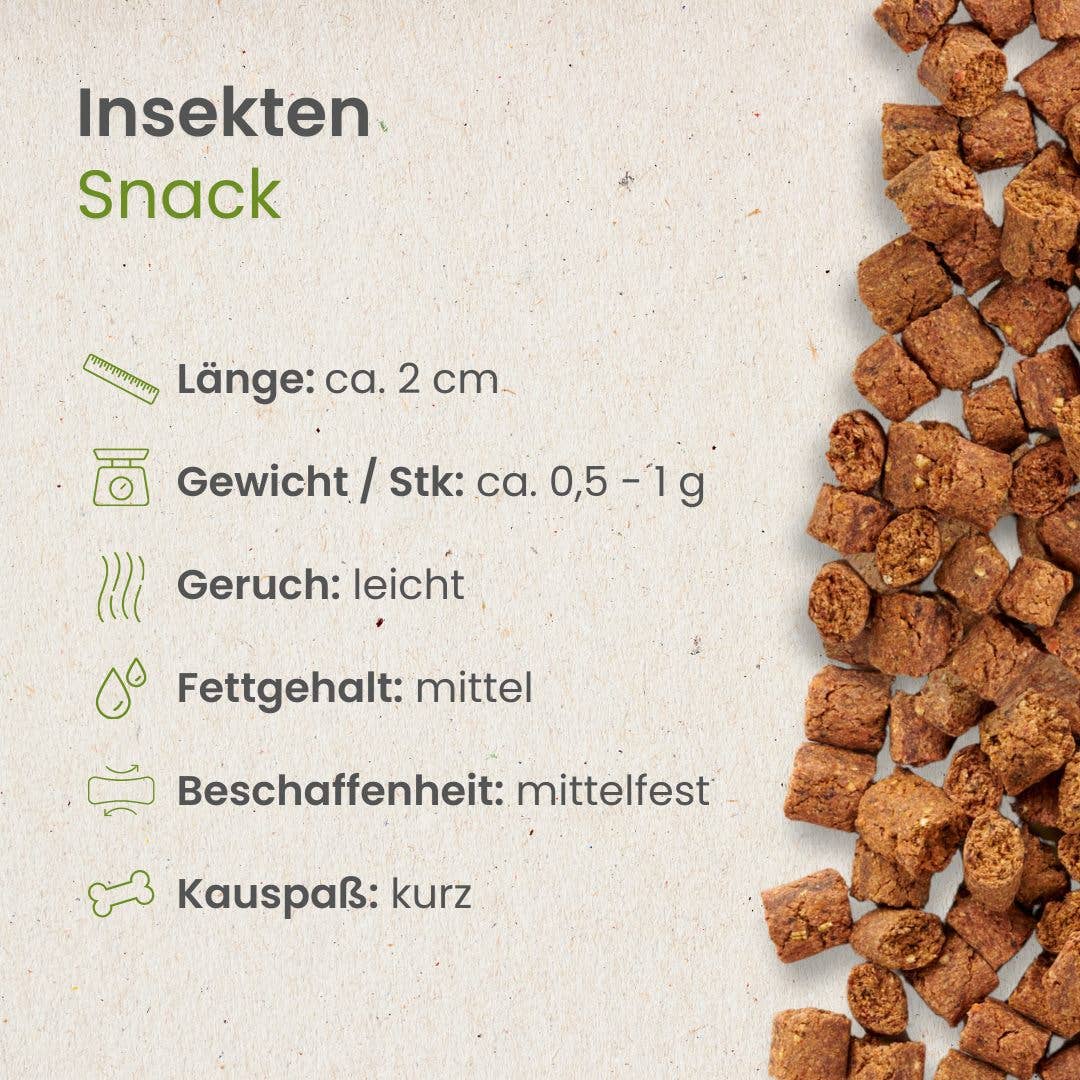 Kauartikel.com GmbH - Vente Friandises – chien - collation aux insectes3