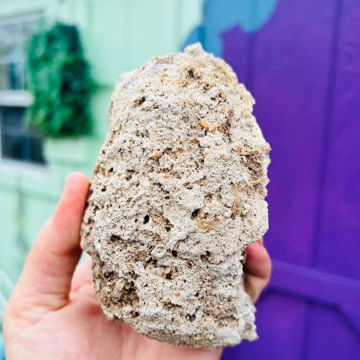 Aurafy - Wholesale Spiritual Stone/Crystal - Moonbeam Aura Fossilized C0ral no.2