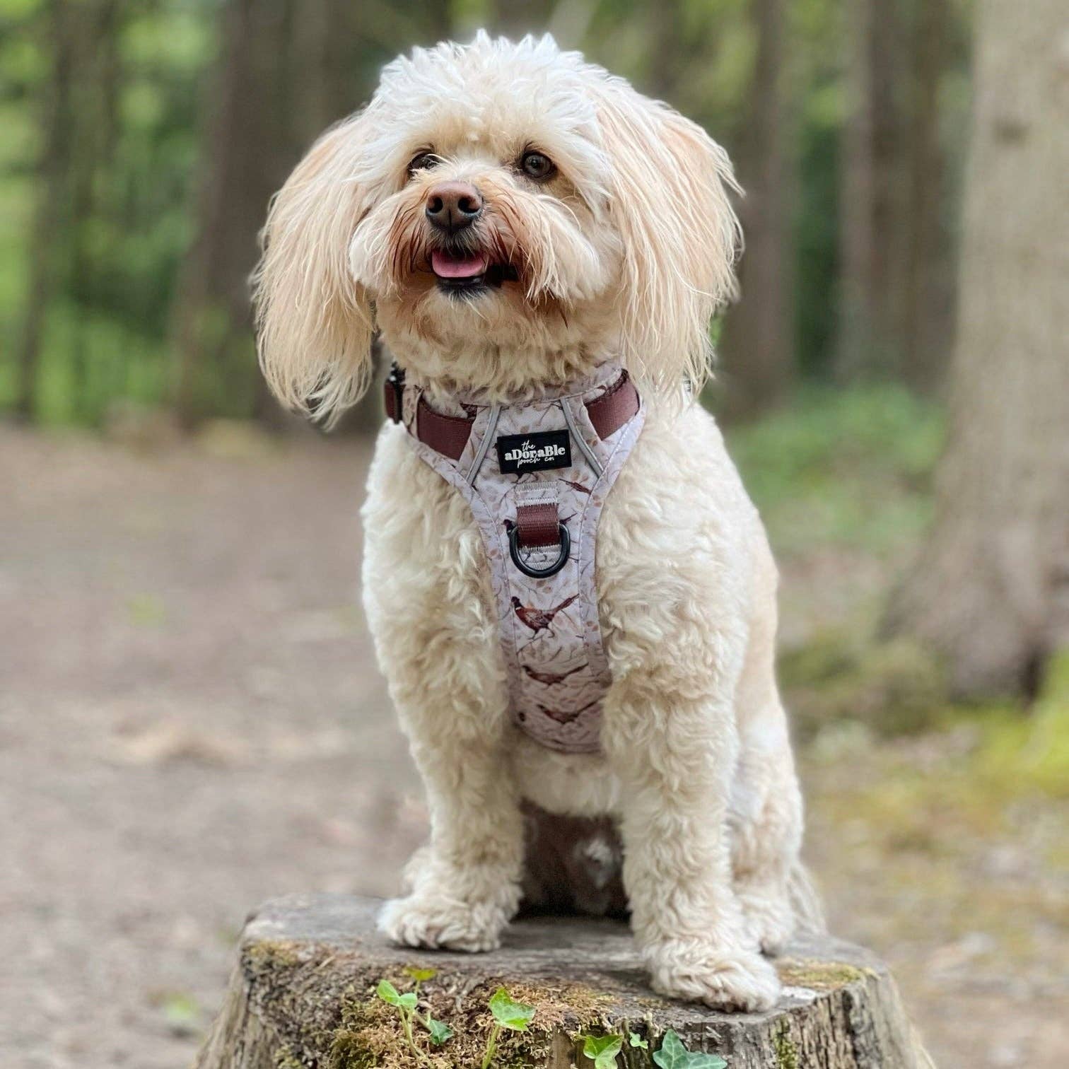 The aDoraBle Pooch Company - Wholesale Tuig voor huisdieren - Hond - Hike & Go™ Harnas - Farmland Fazant30