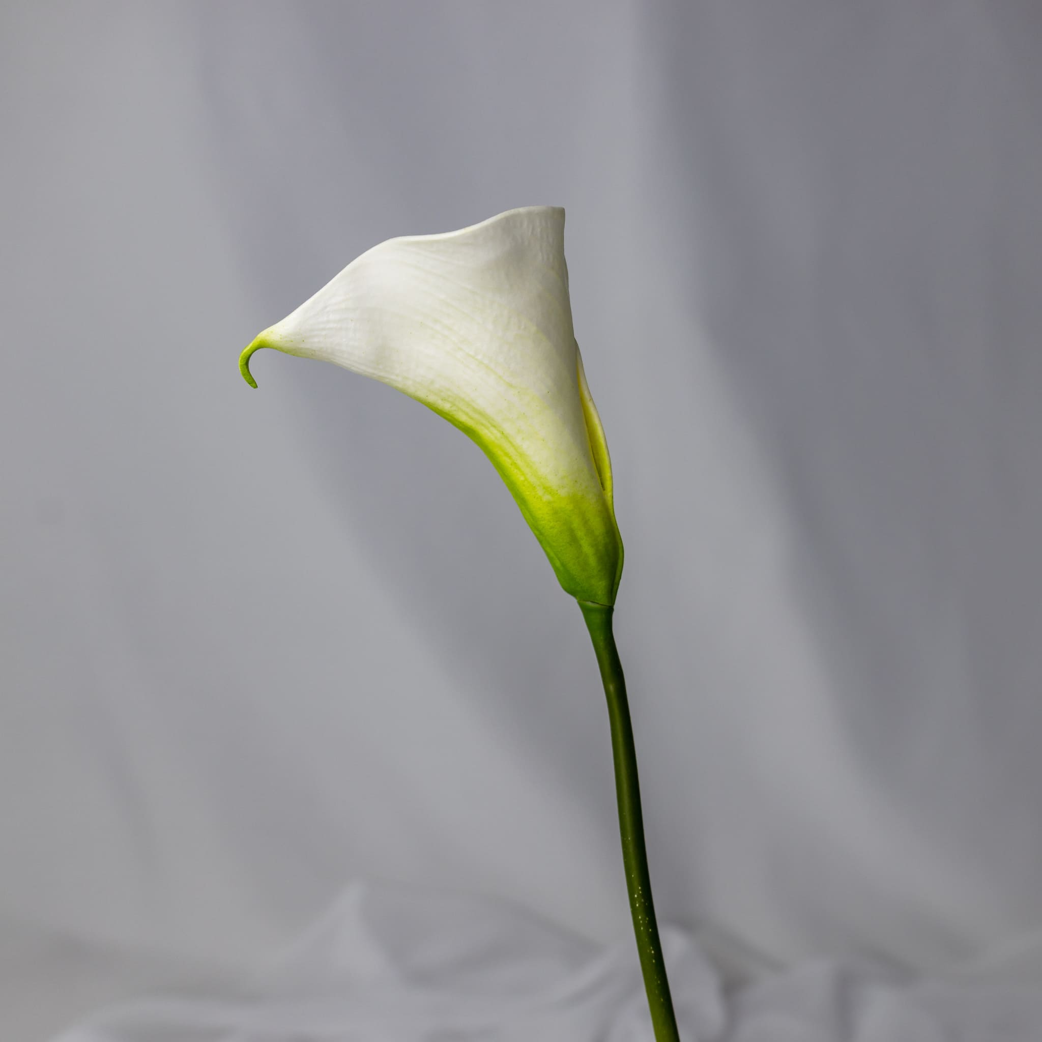 Realistic Artificial Flowers - Vente Fleurs artificielles - Mini arum vert doux - Fleurs artificielles réalistes2