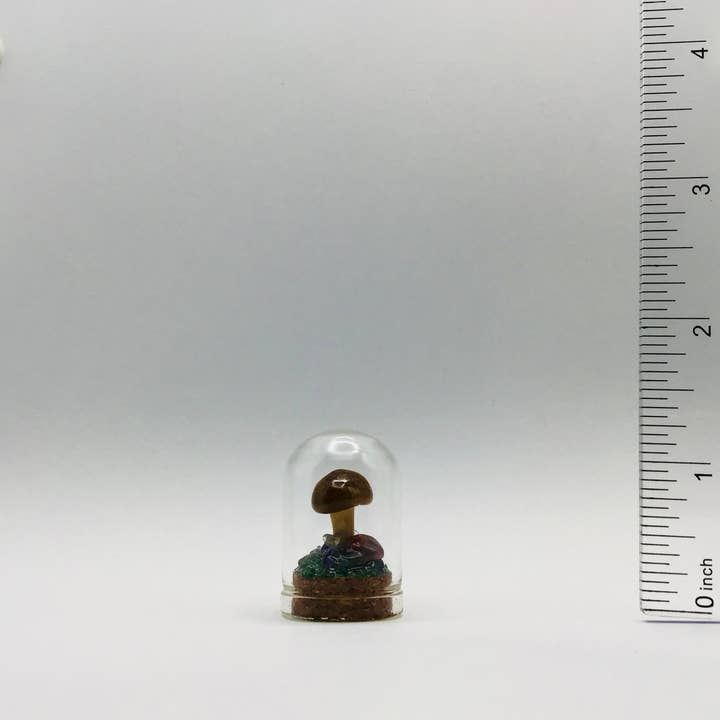 Vero Barattolo di Vetro Curiosità di Funghi 1,25" Stranezza # 407 per la vendita all'ingrosso da parte di The Fungus Farm