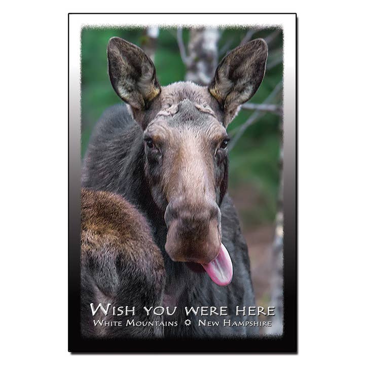 #9096 Wish You Were Here Postcard for wholesale by White Mountain Images