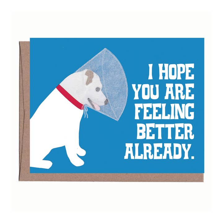 Dog With Cone Get Well Card for wholesale by La Familia Green