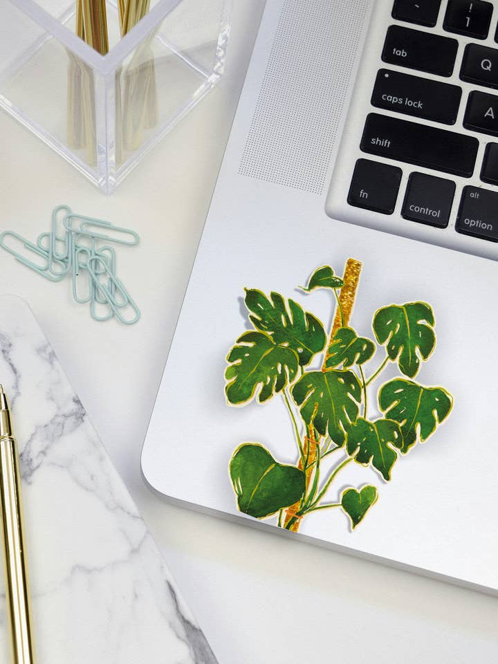 Autocolantes de Monstera | Autocolantes de Plantas | Presentes para Amantes de Plantas por atacado de papierwinkel