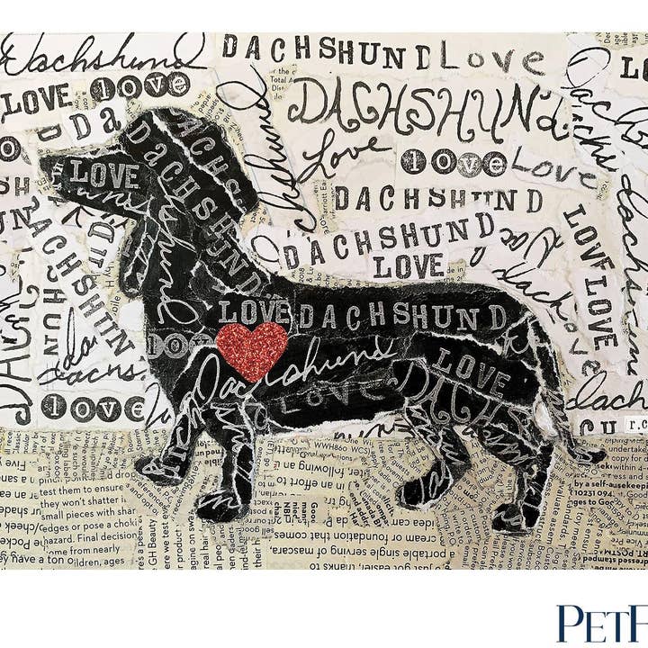 Teckel PetFlat pour la vente par Carolina Creekhouse