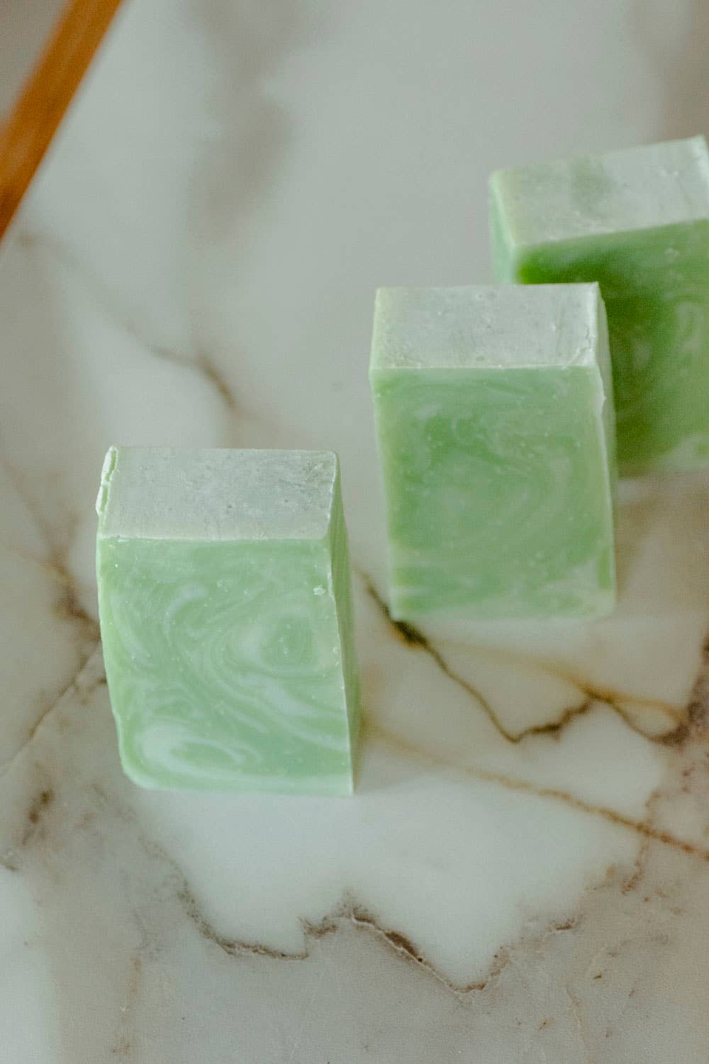 No Tox Life - Wholesale Bar Soap - Moisturizing Vegan Body Wash - Aloe & Coconut Milk - No Tox Life2