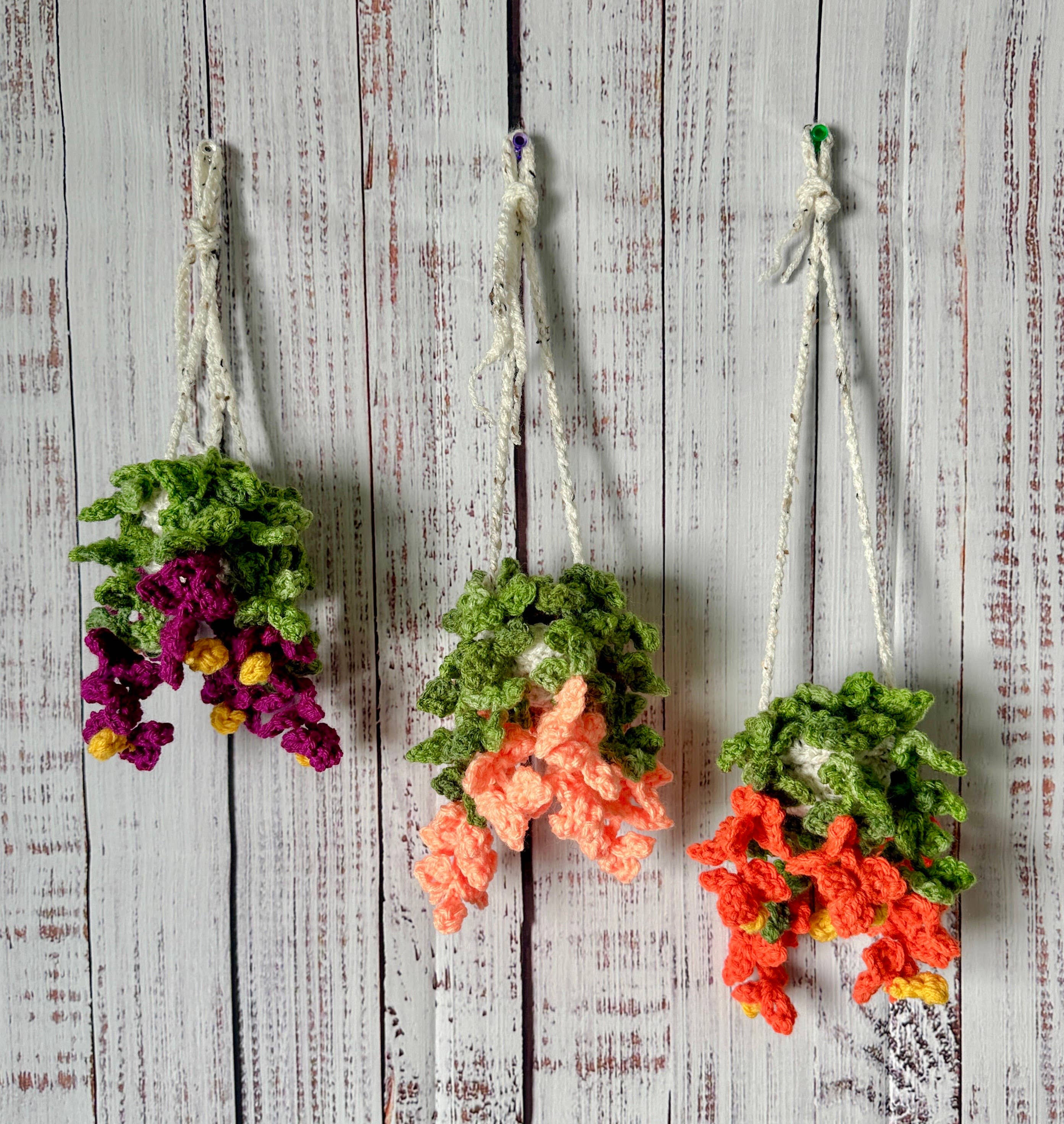 TOMOPOD LLC - Wholesale Stuffed/Plush Toy - Kids & Baby - Crochet Vine Flower Plant, Hanging Plant, Home Decor Gift1