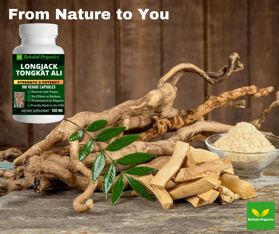 Behalal Organics - Wholesale Oral Supplement/Vitamin - Longjack Tongkat Ali Capsule For Enhanced Strength and High7