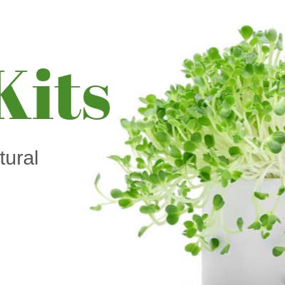 UgroGreens Ltd. - Wholesale Plant Seeds - Sandwich Supreme Microgreen Grow kit3