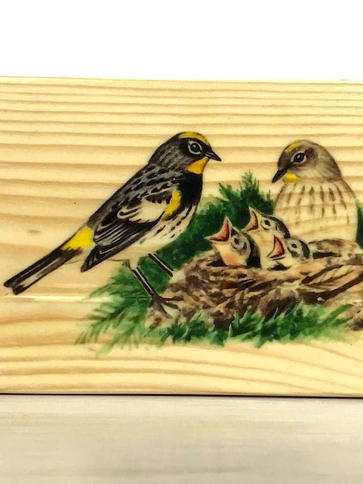 Panel de madera de curruca de Audubon, impresión de madera de curruca de Audubon para venta al por mayor de Streetlightbirds