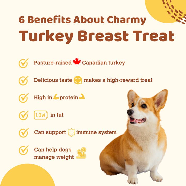 Charmy Pet - Vente Friandises – chien - POITRINE DE DINDE