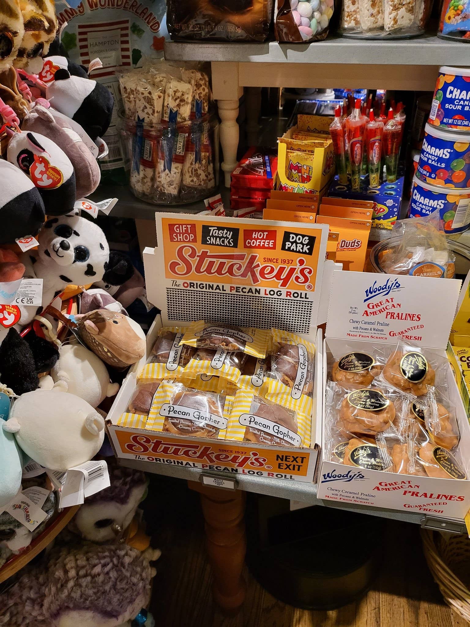 Stuckey's - Wholesale Chocolate Covered Sweets - Milk Chocolate Gopher8