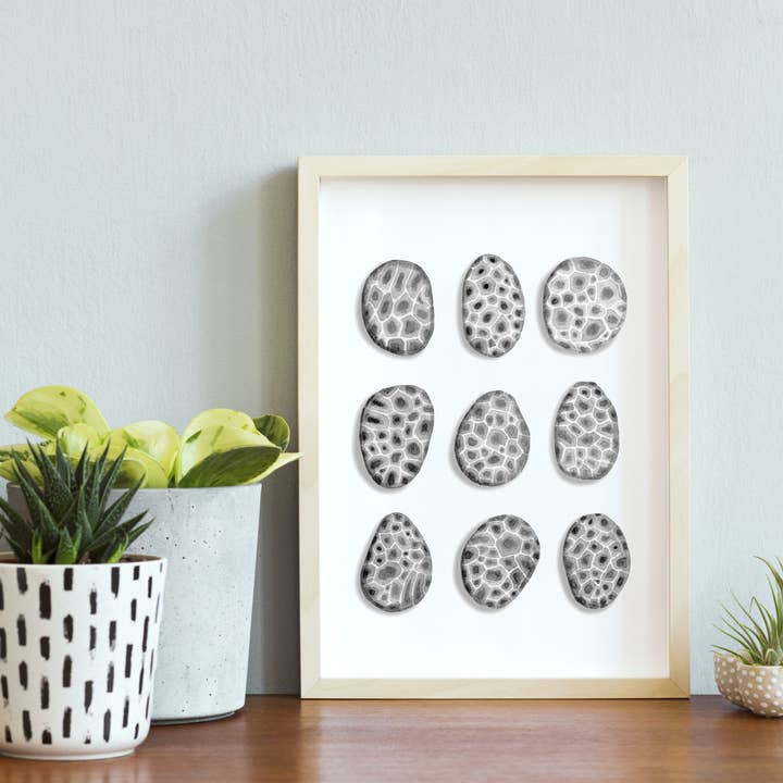 NorthHouse Creative Co. – wholesale Art print – Petoskey Stone Watercolor Art Print2
