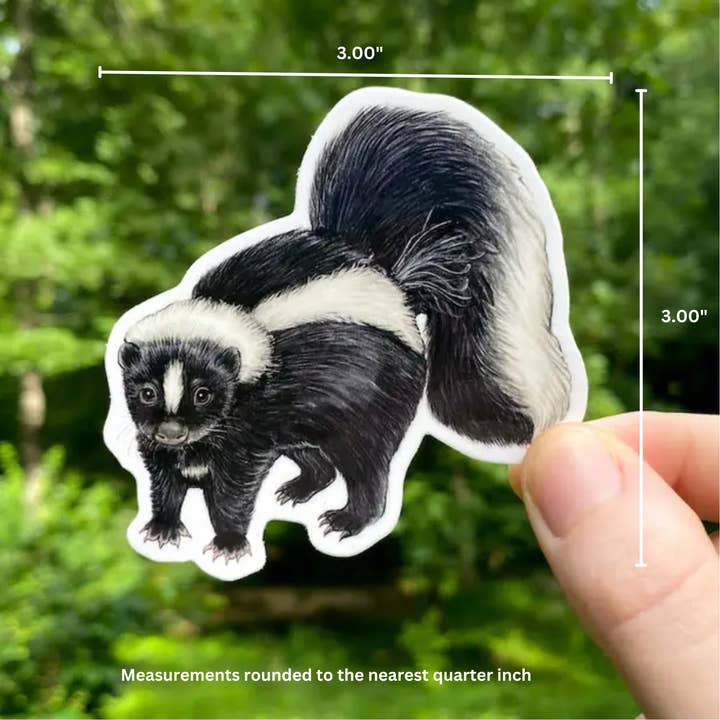 Allison Stoiser Art - Wholesale Sticker - Striped Skunk Weatherproof Vinyl Sticker1