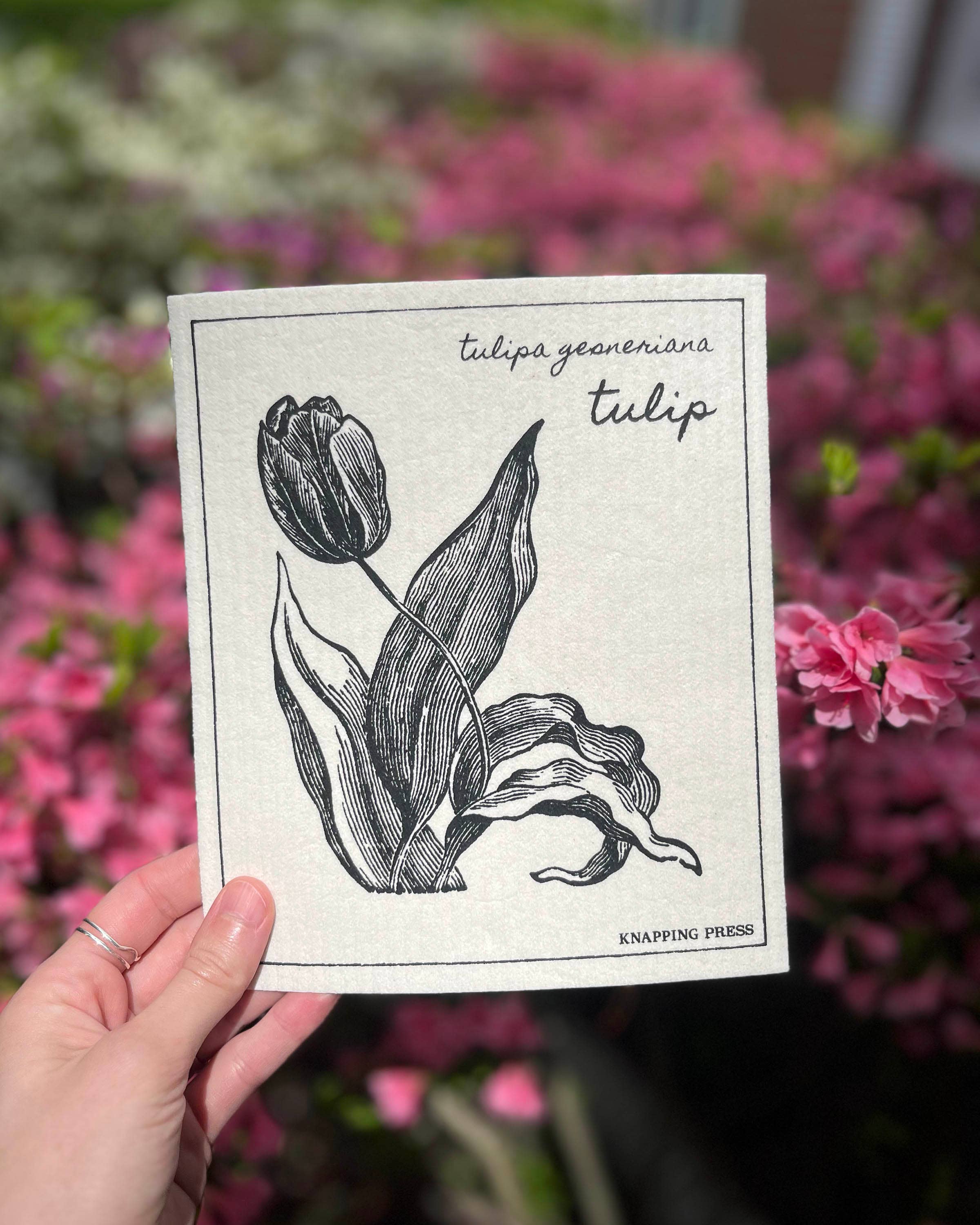 Knapping Press - Wholesale Cleaning Cloth - Swedish Dishcloth - Tulip1