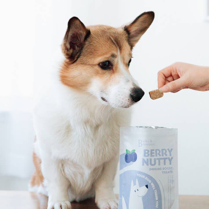 Barks and Brownies - Wholesale Pet Treats - Dog - BERRY NUTTY | Immune Boost Dog Treats2