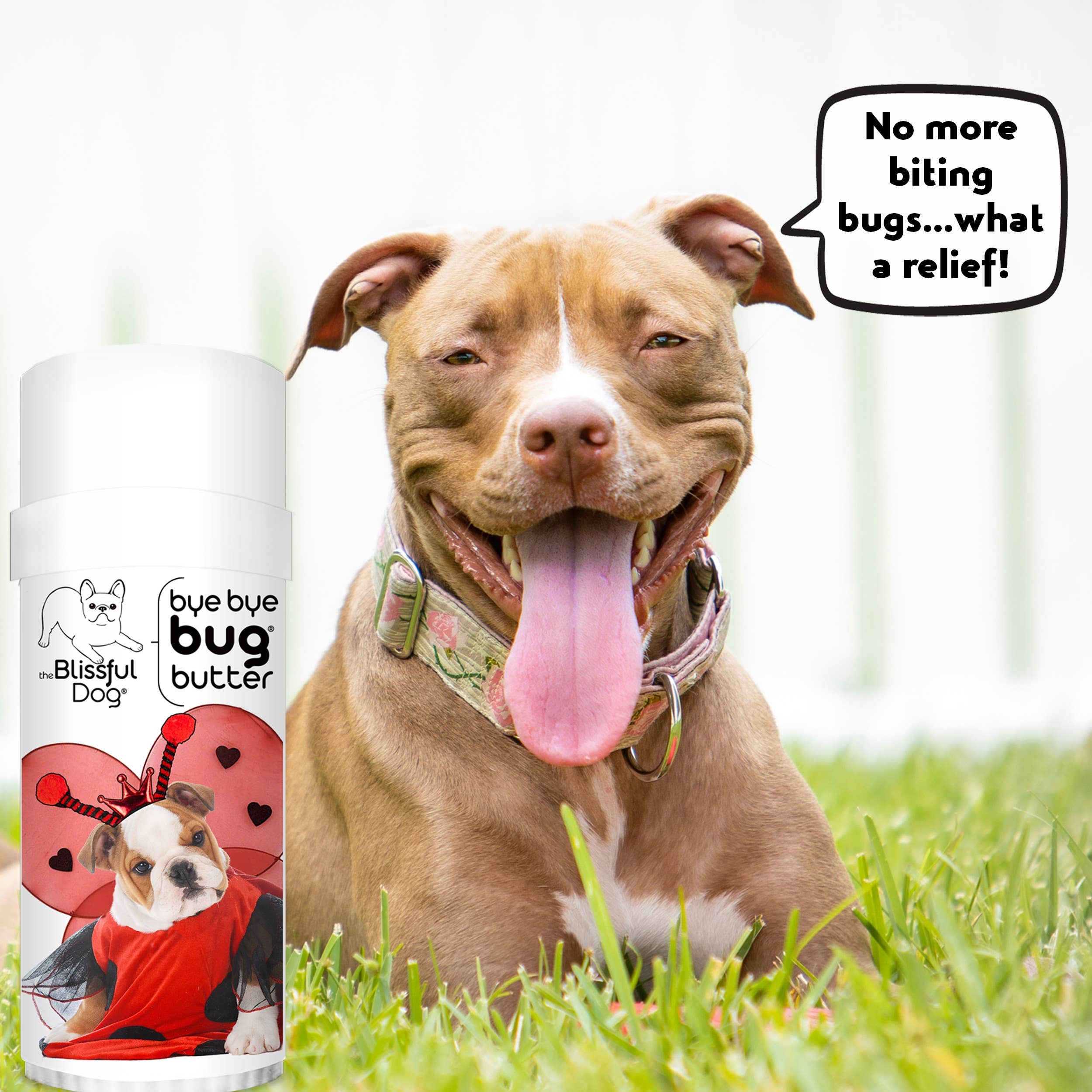 The Blissful Dog - Wholesale Pet Spray - Dog - Bye Bye Bug Butter Natural Insect Repellant3