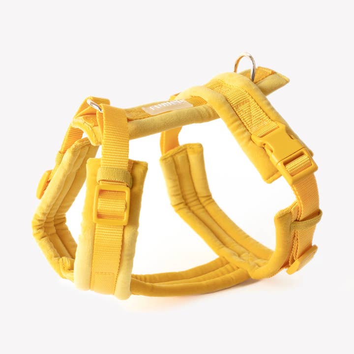 'Harnais pour chien en velours - Jaune' pour la vente par Furlou