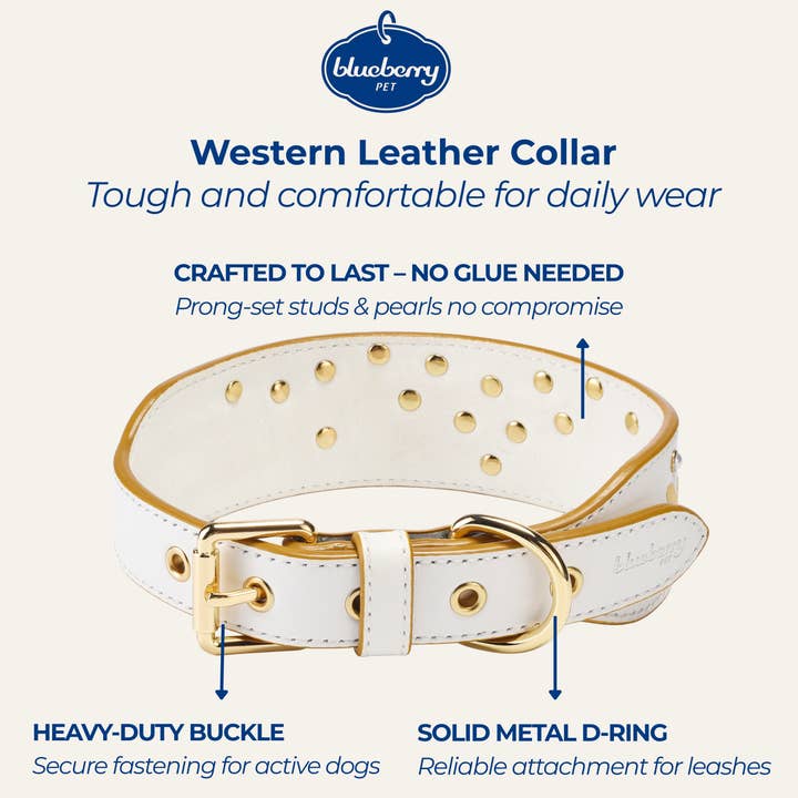 Blueberry Pet - Wholesale Pet Collar - Dog - 🐶✨ Premium Full Grain Genuine Leather Western Dog Collar14