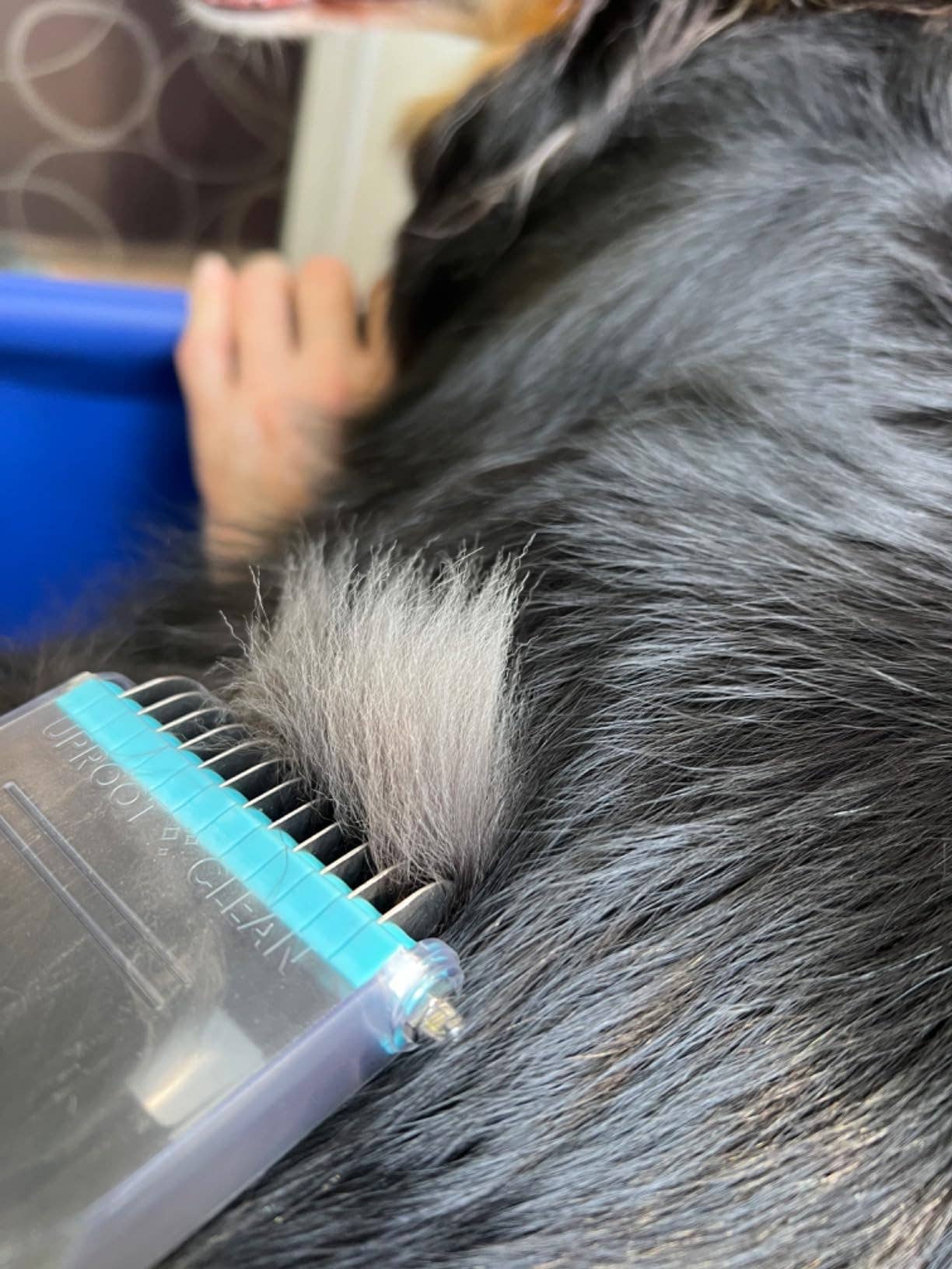 Uproot Clean - Wholesale Pet Grooming Set - Dog - Uproot Clean Cordless Pet Grooming Kit Retail  (2 Unit Case Pack)7