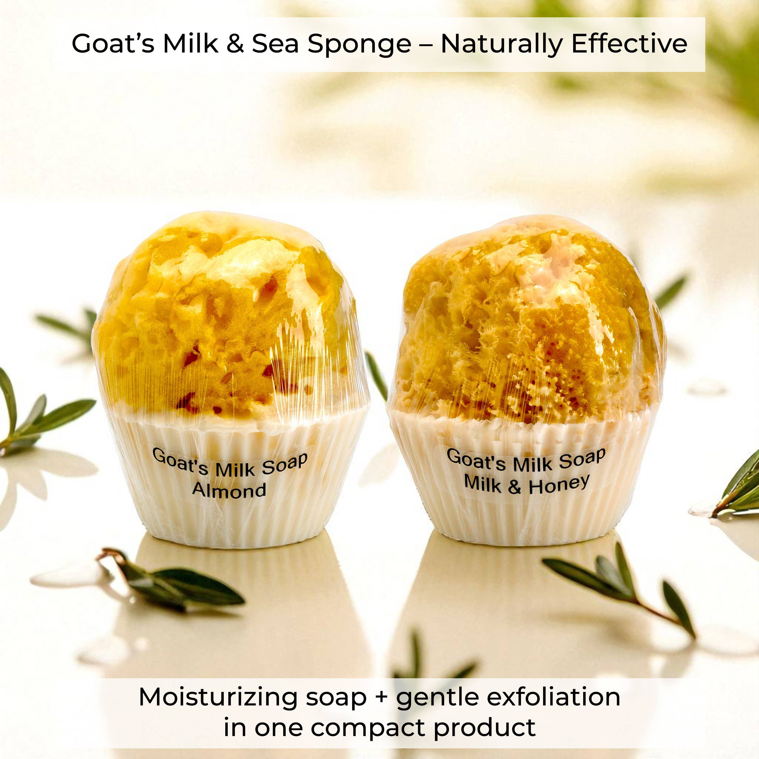 The Grecian Soap Company – Engroshandel Sæbestykke – Cupcake gedemælk naturlig sæbe med naturlig havsvamp2