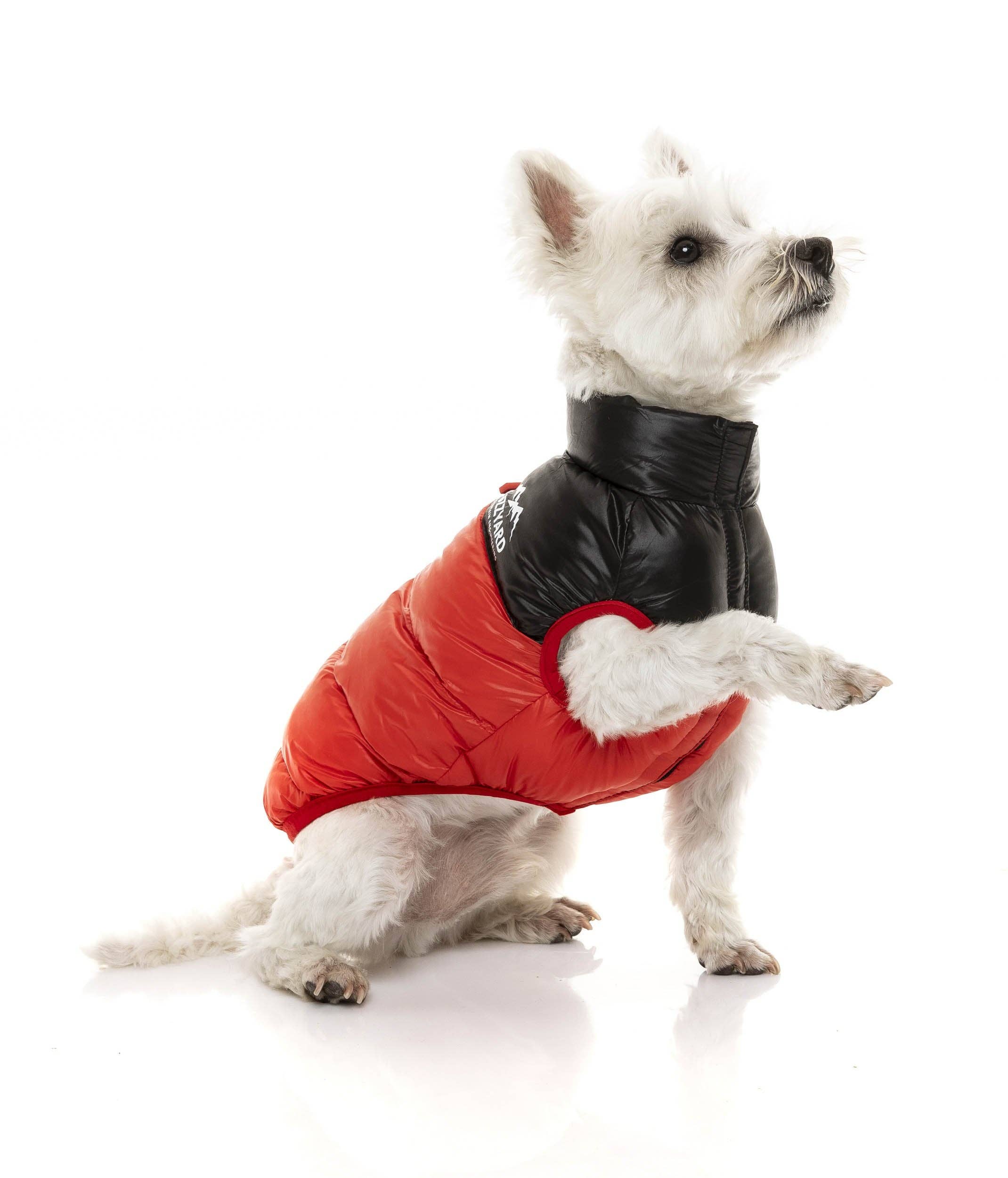 In Vogue Pets – wholesale Pet jacket – Dog – Harlem Puffer Jacket - Red4