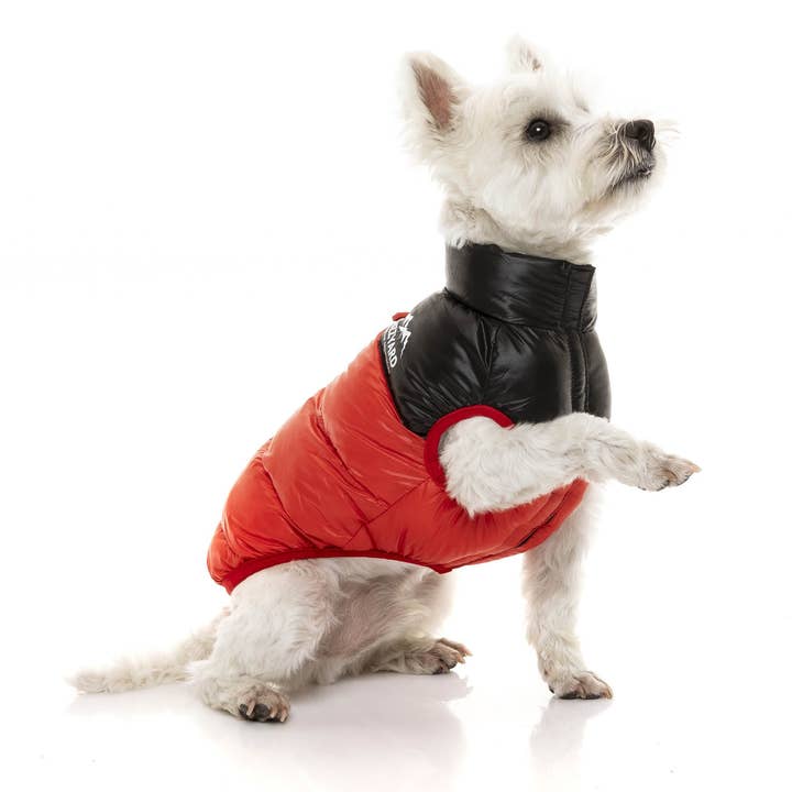 In Vogue Pets – wholesale Pet jacket – Dog – Harlem Puffer Jacket - Red4