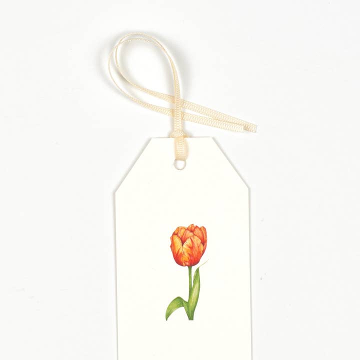 Gavemærker Floral - Orange Tulip - Pakke med 5 for engroshandel hos Goose Lane Designs