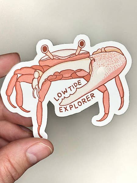 Low Tide Explorer Fiddler Crab Sticker for wholesale by Habitat Art Studio