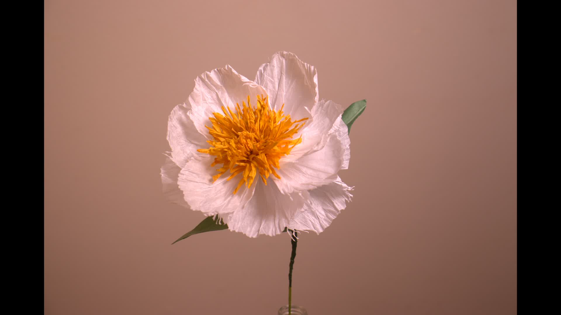 Beautiful Things By Bec – Großhandel Künstliche Blumen – White Paper Pfingstrosen, künstliche Pfingstrosen, Herbstblumen1