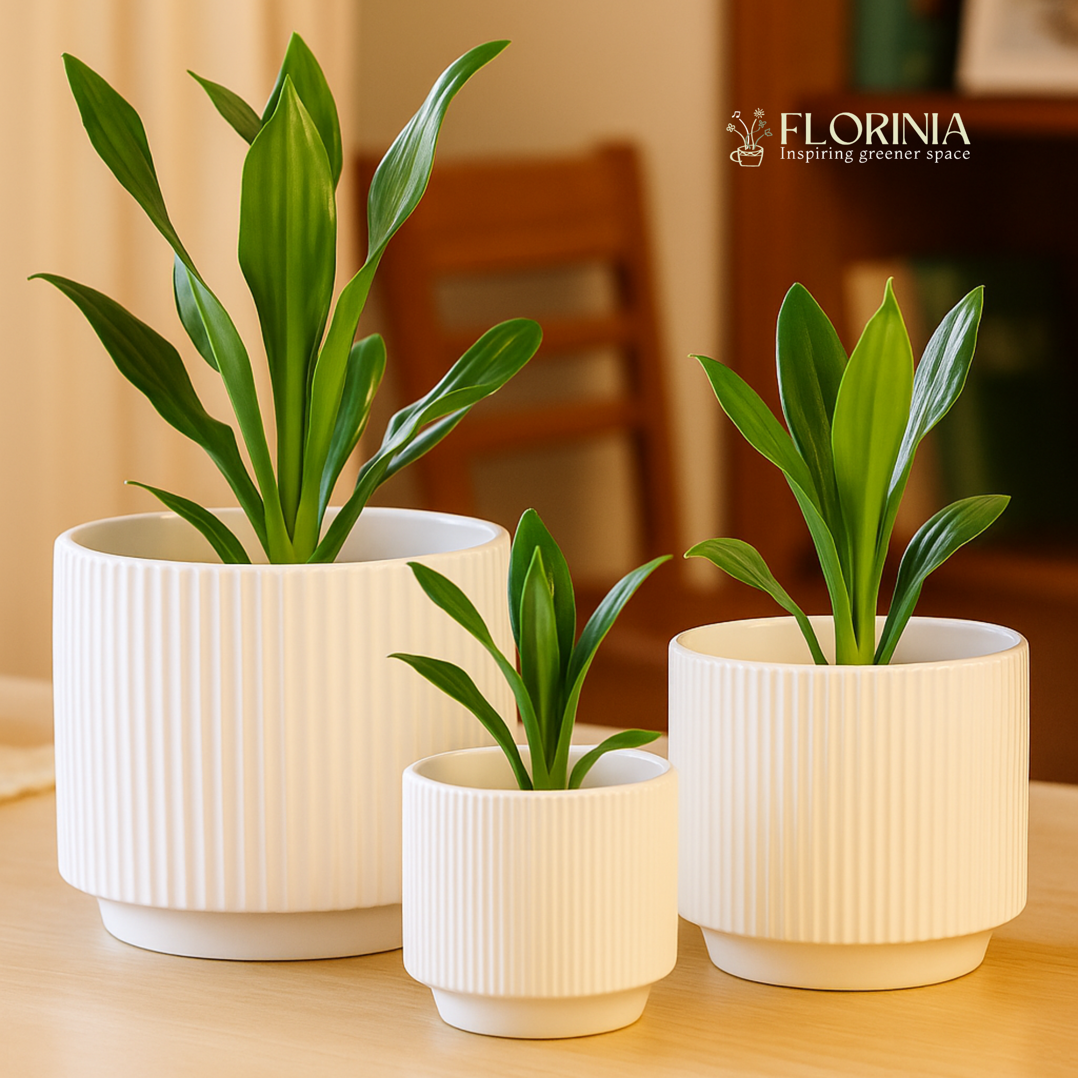 Florinia - Wholesale Plant Pot - 3-Piece White Stoneware Planter Pot Set with Ribbed Texture1