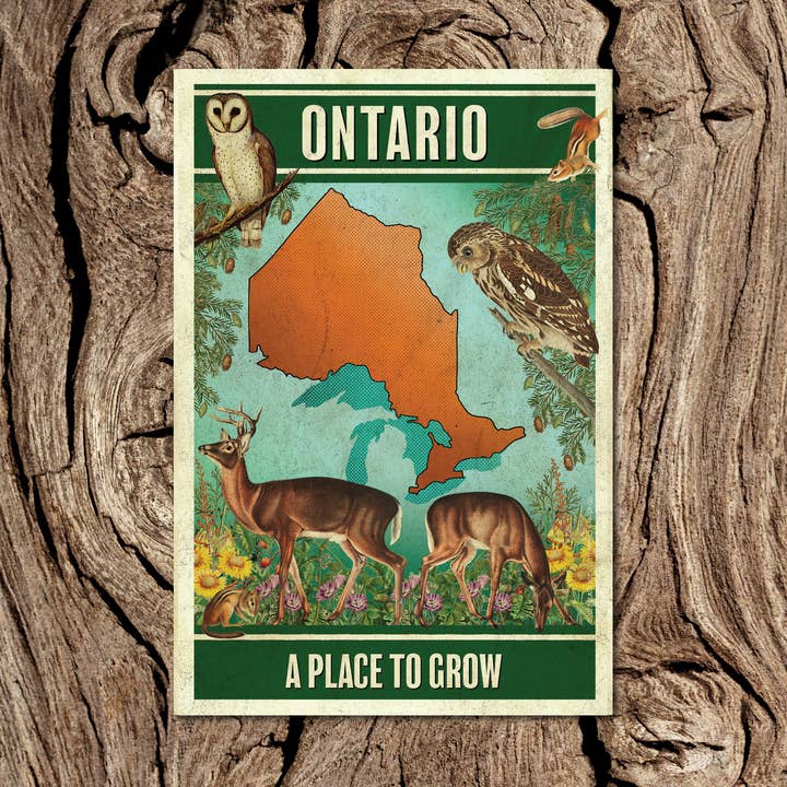 Tarjeta postal «Un lugar para crecer» de Ontario para venta al por mayor de Black River Letterpress & Paper Co.