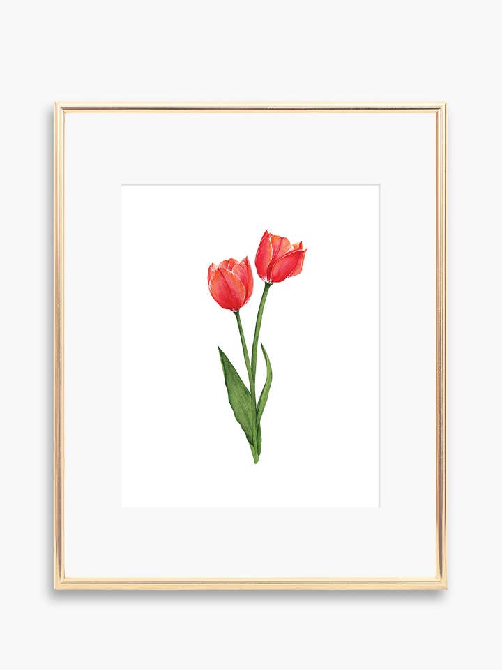 Tulip Art Print voor wholesale door Tara Feather Designs