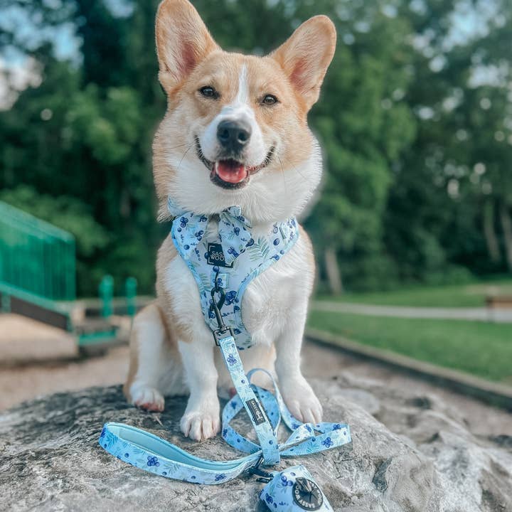 SASSY WOOF - Wholesale Pet Harness - Dog - Dog Adjustable Harness - Berry Sassy (Fruits)5