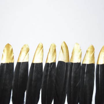 50 Gold Tipped Black Duck Feathers for wholesale by Knot Treasures