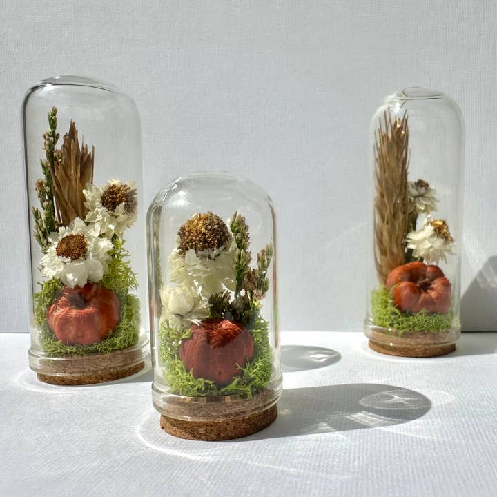 CA Studios - Wholesale Terrarium - Orange Pumpkin Mix Mini Terrarium Potion Jar w Dried Florals7