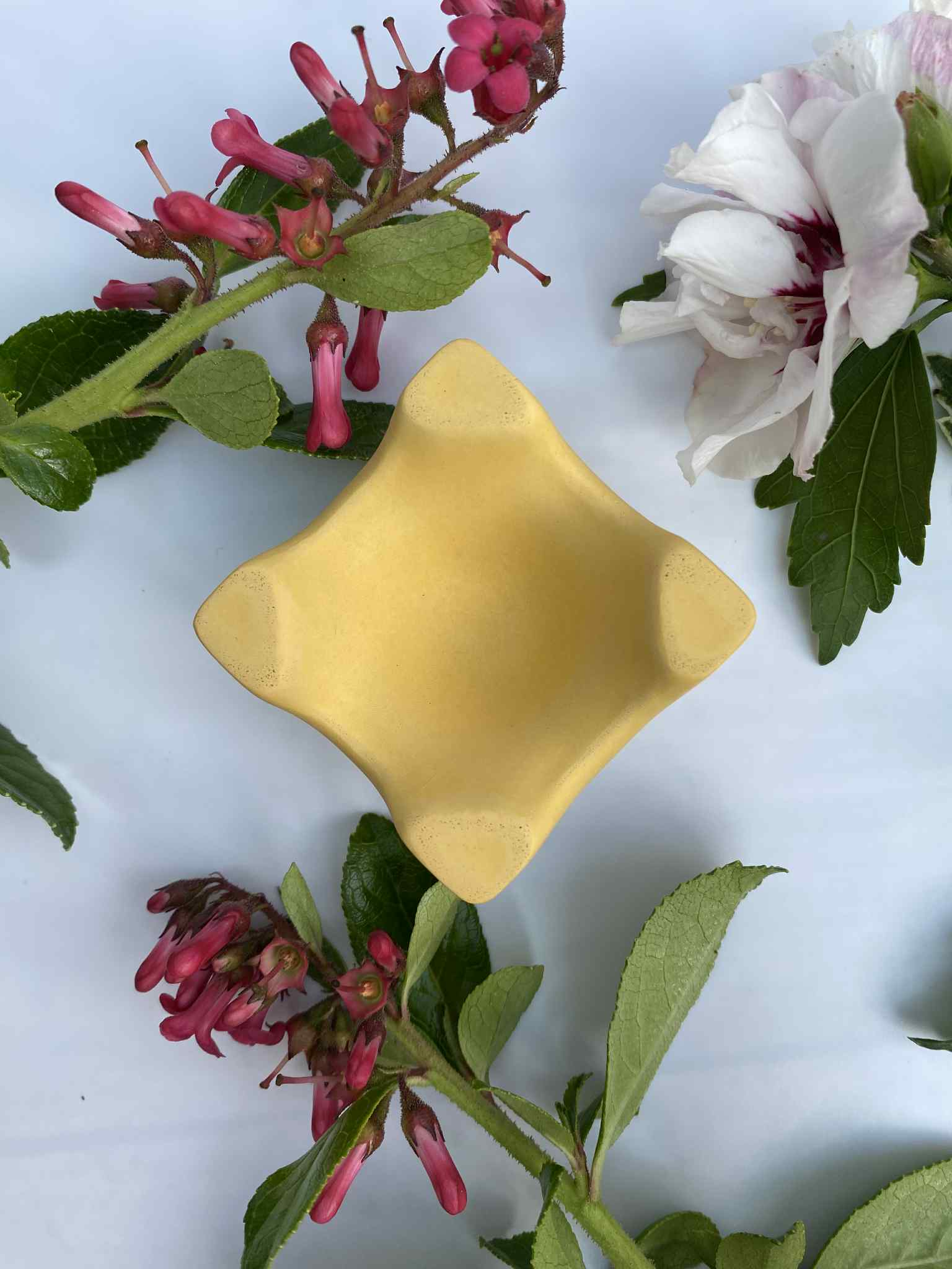 Little Lottie’s - Wholesale Egg cup/holder - Yellow Egg Cup – Colourful Breakfast Tableware