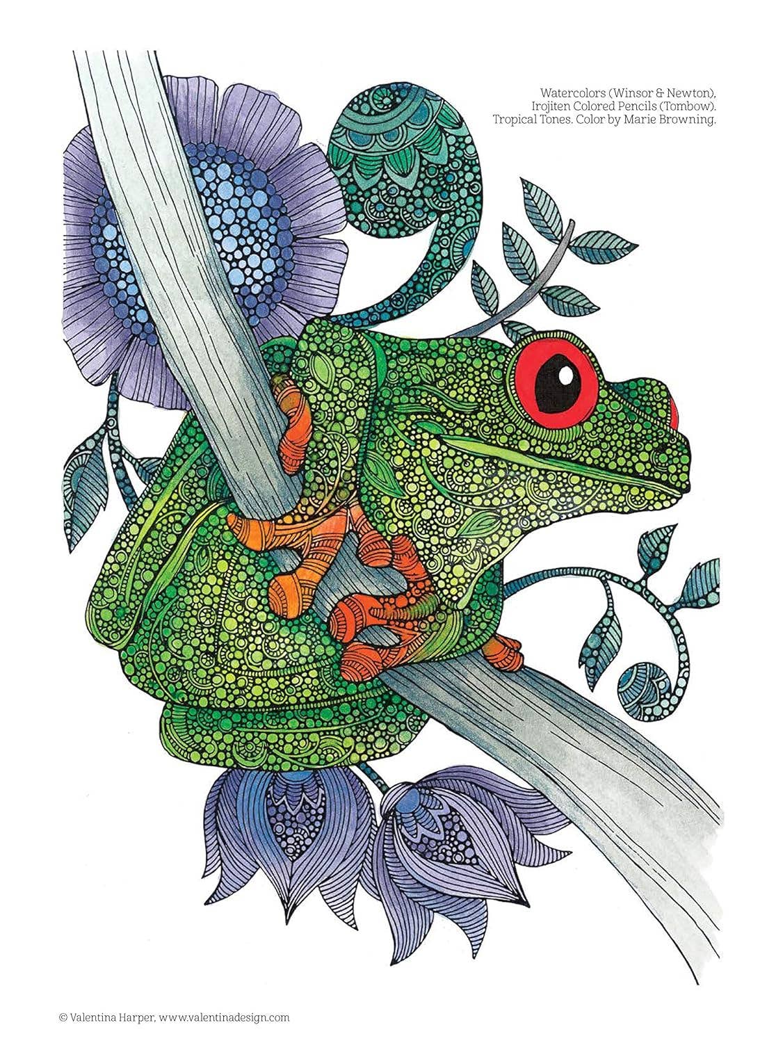 Fox Chapel Publishing - Wholesale Kleurboek - Volwassene - Mandala's en meer kleurboek Treasury (HC)3