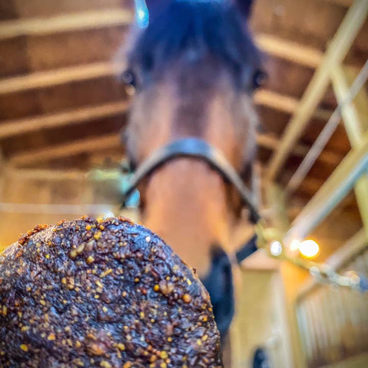 Neighborly Horse Treats - Vendita all'ingrosso Snack - Cani - Dolcetti per cavalli Neighborly3