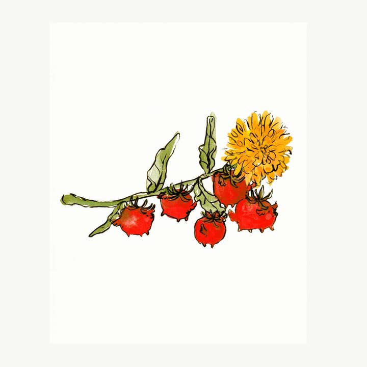 Stampa - «Tomatoes & Dandelion» per la vendita all'ingrosso da parte di Rebekah Evans Art