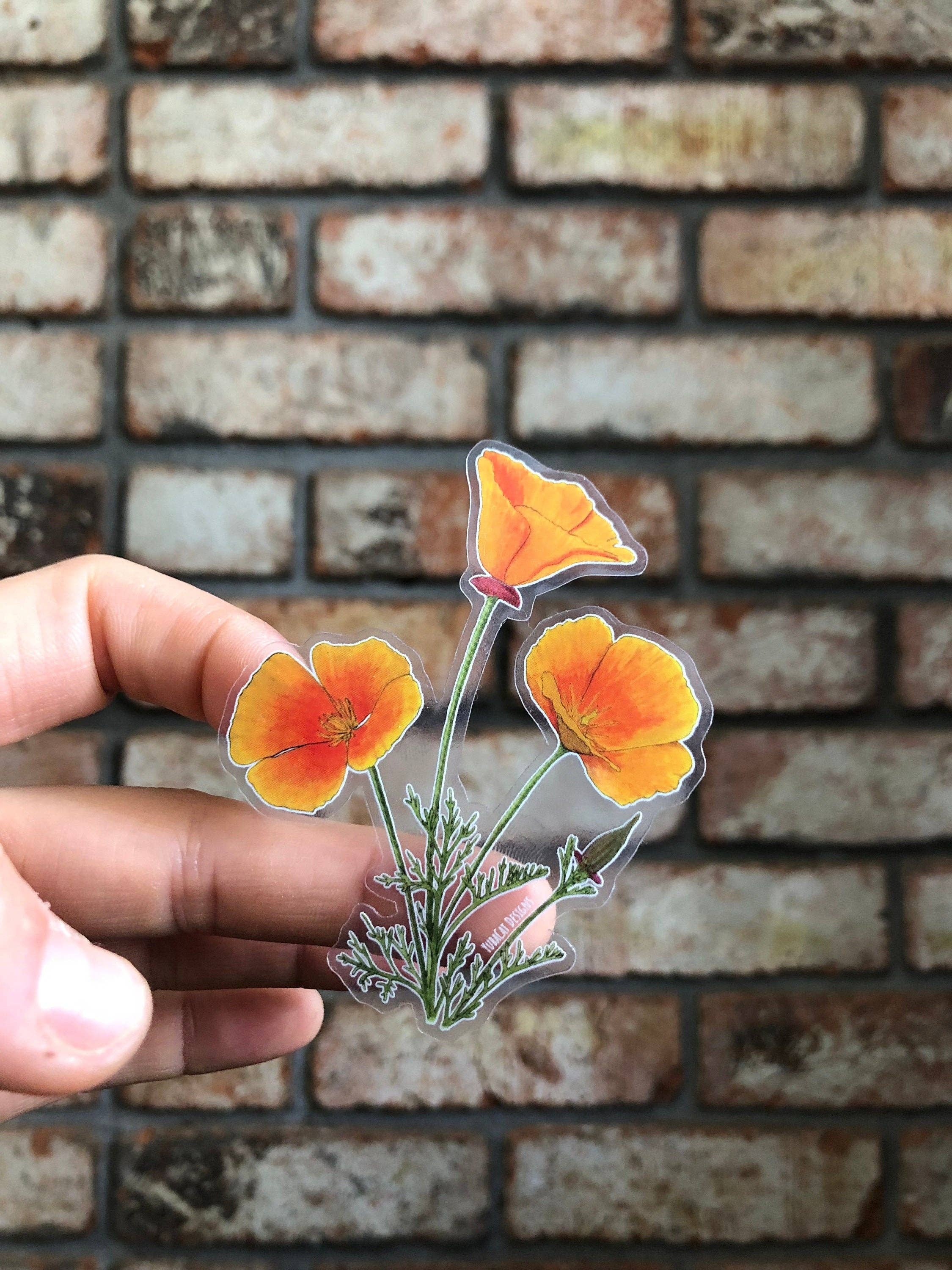 YubaCat Designs - Wholesale Sticker - California Poppy sticker2
