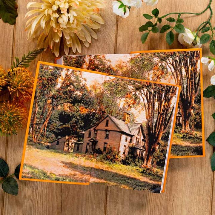 Simon & Schuster - Wholesale Classics - Little Women by Louisa May Alcott4