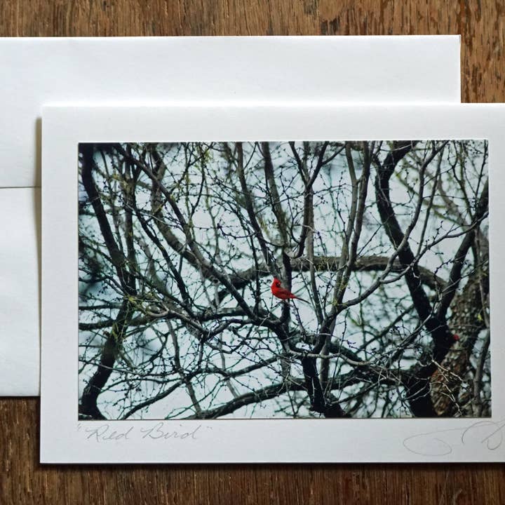 Ann Woodall Studios - Wholesale Everyday Greeting Card - Handmade Red Cardinal Photo Greeting Card2