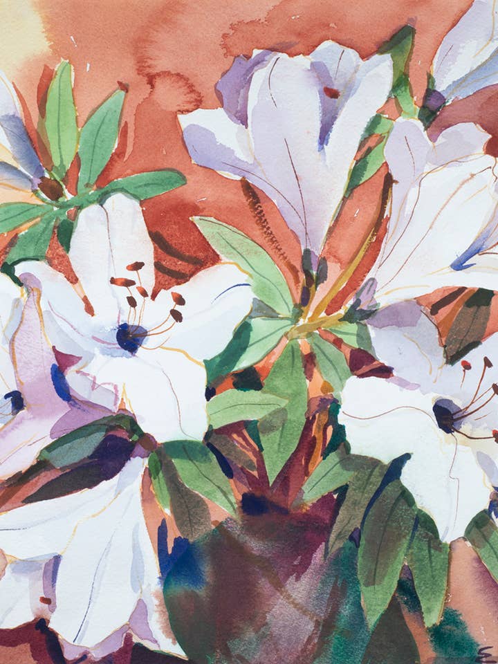 Rododendro de Doris Ewing para venta al por mayor de Something To Write Home About