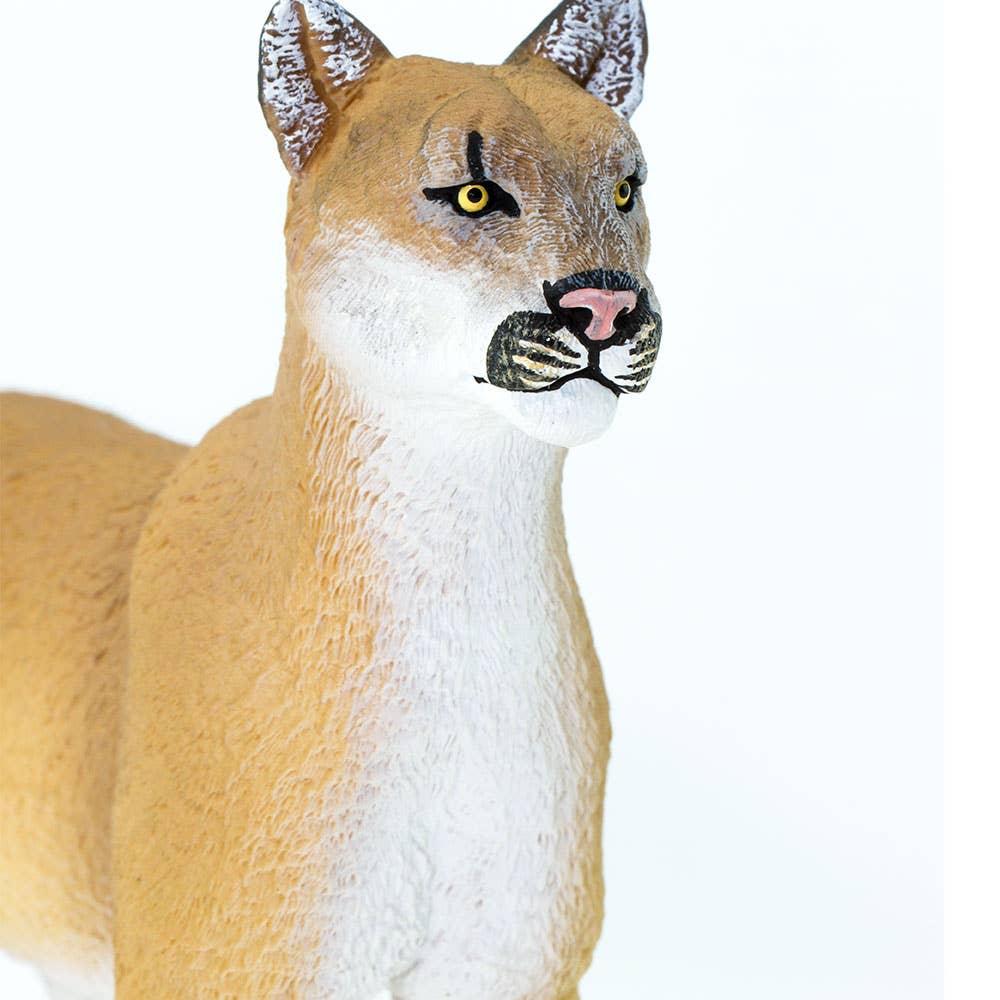 Safari Ltd. - Wholesale Figurine Toy - Kids - Florida Panther - 1001057