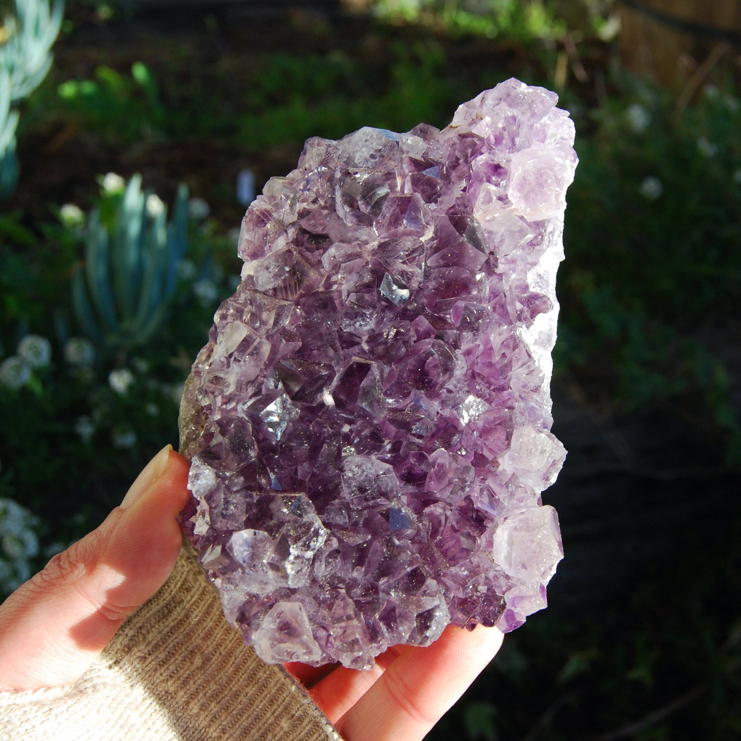 Caspar Curiosities - Wholesale Spiritual Stone/Crystal - 1.3lb Large Raw Amethyst Geode Quartz Crystal Cathedral Cluster, Self Standing, Uruguay