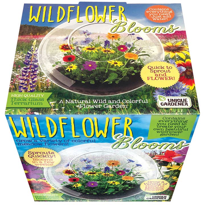 Silver Circle Products - Wholesale Terrarium - Wildflowers Glass Terrarium