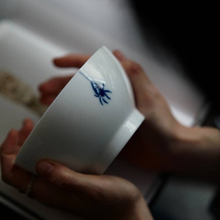 Skål i porcelæn med insektmønster - Edderkop, ris-skål, snack-skål, yoghurt-skål, suppe-skål for engroshandel hos lilibo