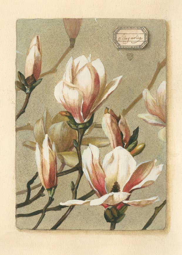 Bomo Art Budapest - Wholesale Everyday Greeting Card - Greeting Card + Envelope62