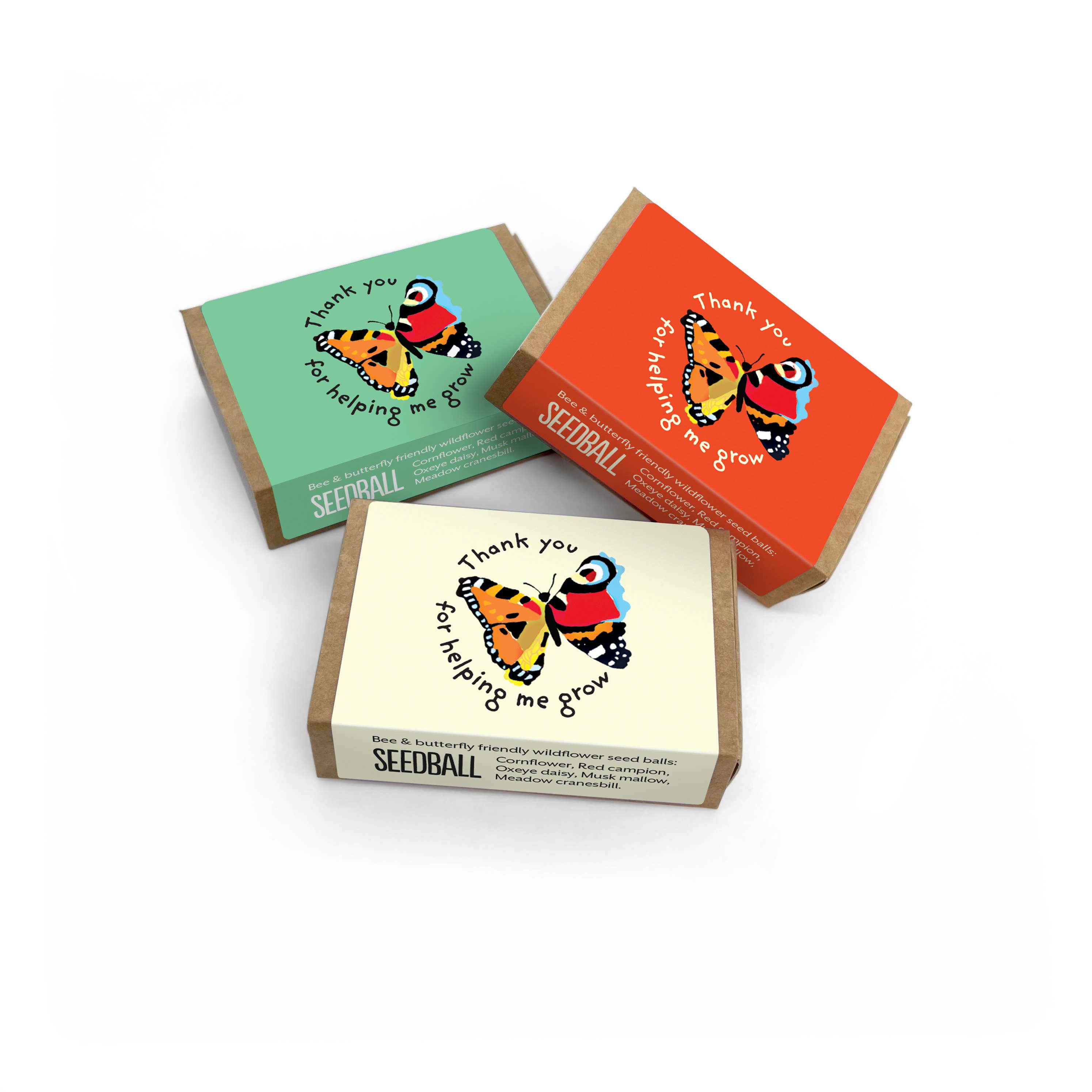 Seedball – wholesale Thank you card – "Thank You” Teacher Wildflower Seedboxes 5